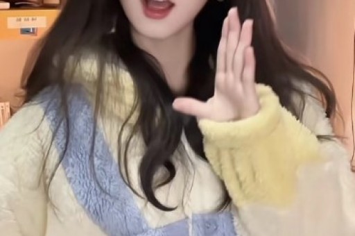 黄一鸣限高令：当流量网红遇上“想还钱却难赚钱”的法律困境